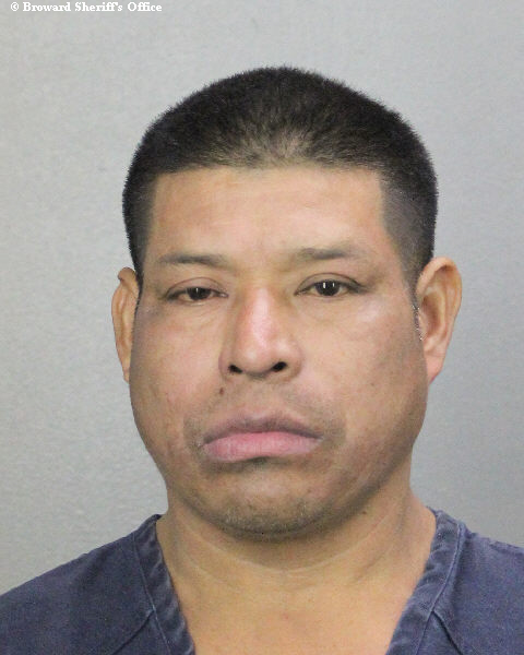  JOEL ARTURO Photos, Records, Info / South Florida People / Broward County Florida Public Records Results