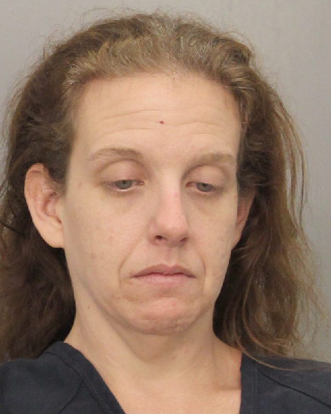  SHAYNA MELISSA DELANEY Photos, Records, Info / South Florida People / Broward County Florida Public Records Results