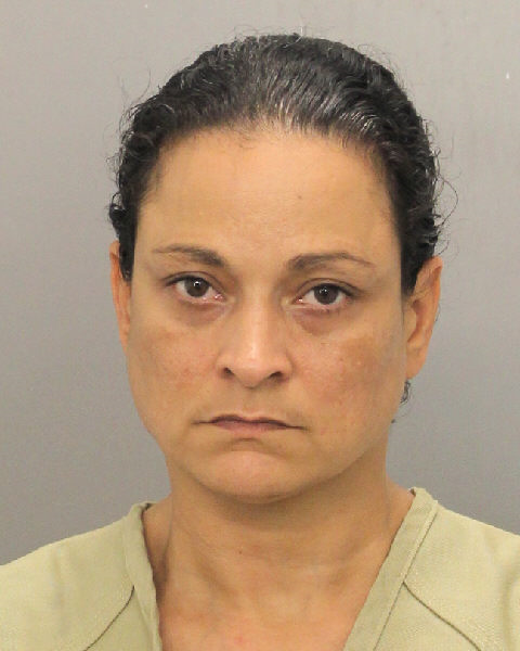  REBECCA ENCARNACION Photos, Records, Info / South Florida People / Broward County Florida Public Records Results