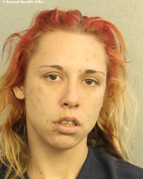  MARYANN K VILLINIS fotografia del sheriff oficial del condado de Broward