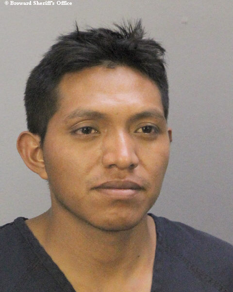  SAMUEL DOMINGO ORDONEZ Photos, Records, Info / South Florida People / Broward County Florida Public Records Results