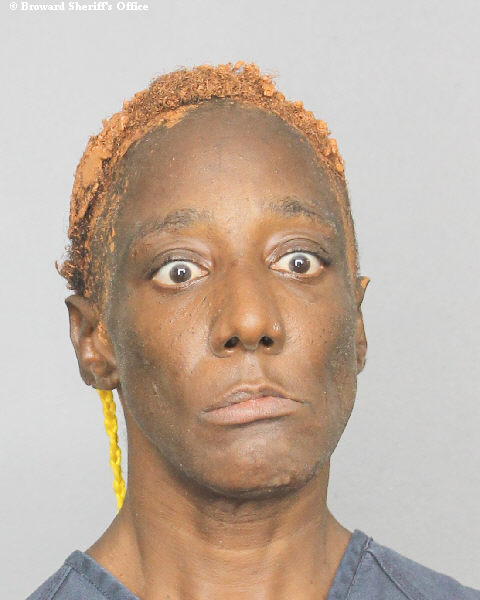  TAMI CHARIA JOHNSON fotografia del sheriff oficial del condado de Broward