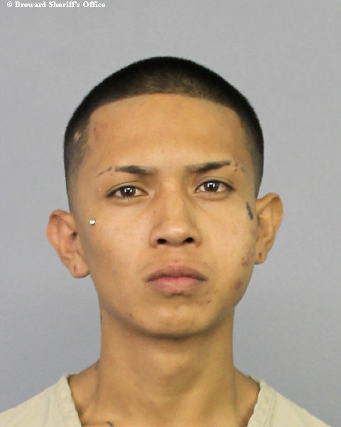  SEBASTIAN ESDRAS HERNANDEZ Photos, Records, Info / South Florida People / Broward County Florida Public Records Results