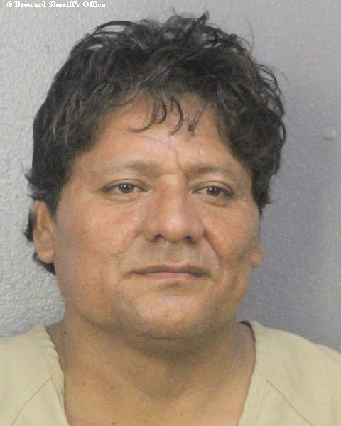  ELVIS DELGADO Photos, Records, Info / South Florida People / Broward County Florida Public Records Results