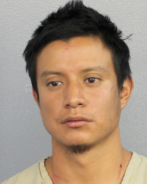  SEBASTIAN ESTEBAN Photos, Records, Info / South Florida People / Broward County Florida Public Records Results