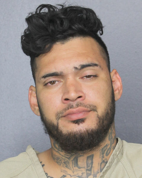  SEAN ANTHONY FEOLA Photos, Records, Info / South Florida People / Broward County Florida Public Records Results