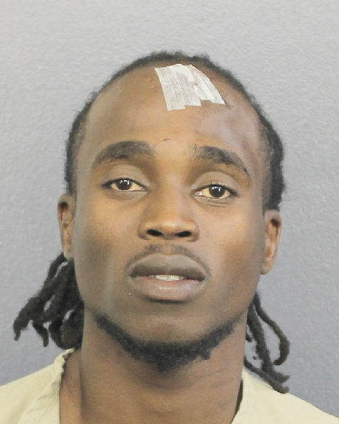  HENRY DUCAMEL Photos, Records, Info / South Florida People / Broward County Florida Public Records Results