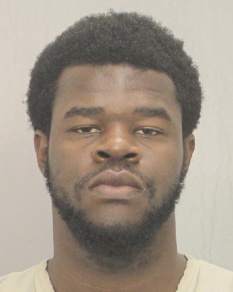  IVEMARKIS DESILIEN Photos, Records, Info / South Florida People / Broward County Florida Public Records Results