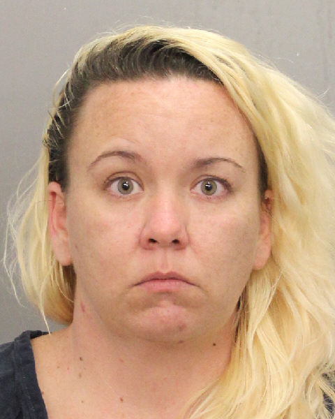  KATI LYNETTE JOHNSON fotografia del sheriff oficial del condado de Broward