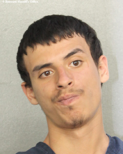  NATHAN IVAN VILLA Photos, Records, Info / South Florida People / Broward County Florida Public Records Results