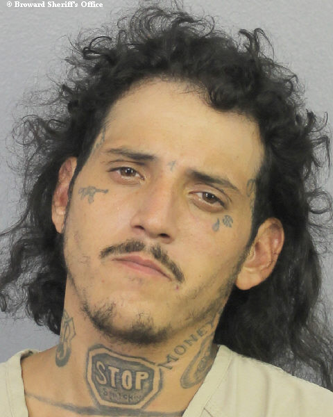  JONATHAN FRANCIS PROSPER Photos, Records, Info / South Florida People / Broward County Florida Public Records Results