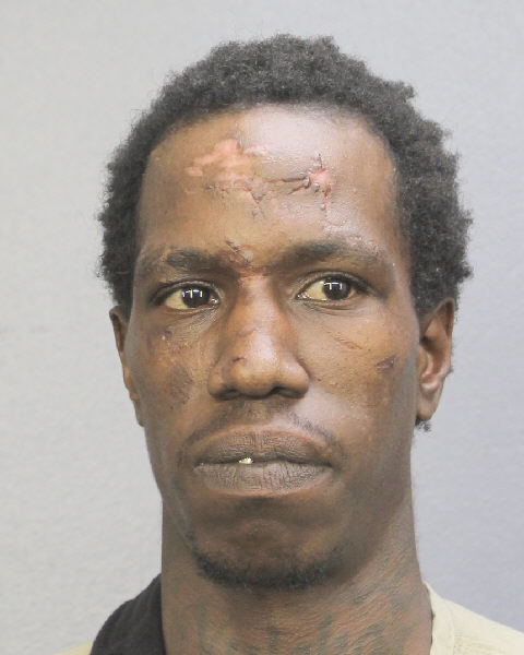  TALVIN R JOHNSON Photos, Records, Info / South Florida People / Broward County Florida Public Records Results