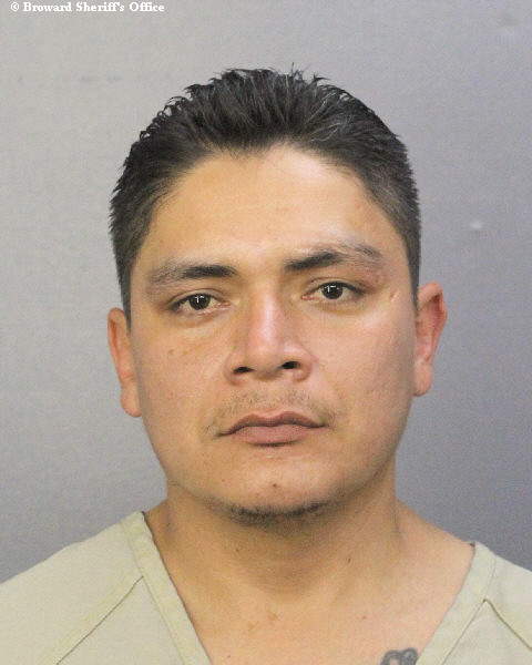  JONATAN JOSUE ORELLANA FLORES Photos, Records, Info / South Florida People / Broward County Florida Public Records Results