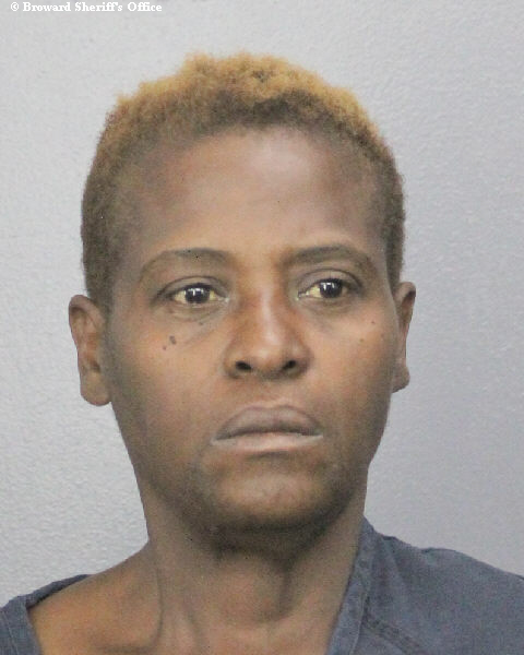  VIVIAN YVETTE LAING Photos, Records, Info / South Florida People / Broward County Florida Public Records Results