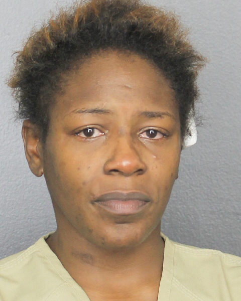  TARA LOGAN Photos, Records, Info / South Florida People / Broward County Florida Public Records Results