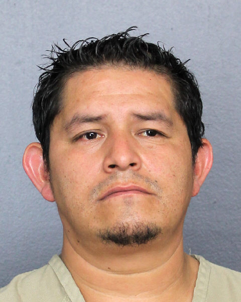  DAVID PEREZ TADEO Photos, Records, Info / South Florida People / Broward County Florida Public Records Results