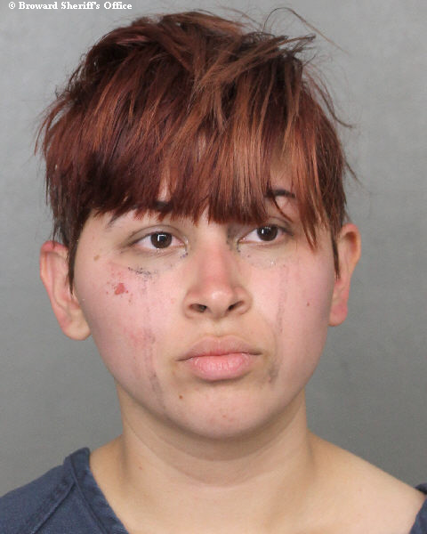  HEIDY VANESSA AMADOR Photos, Records, Info / South Florida People / Broward County Florida Public Records Results