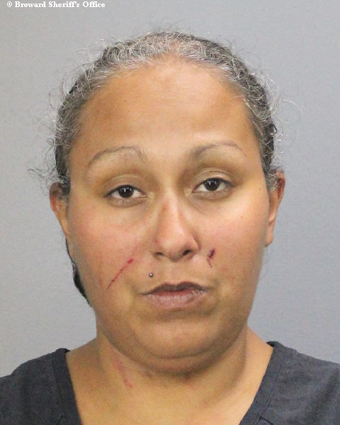 AMANDA LEE ECHEVARRIA Public Records / South Florida Photos / Broward County Florida People + Places AMANDA LEE ECHEVARRIA Photos, Records, Info / South Florida People / Broward County Florida Public Records Results