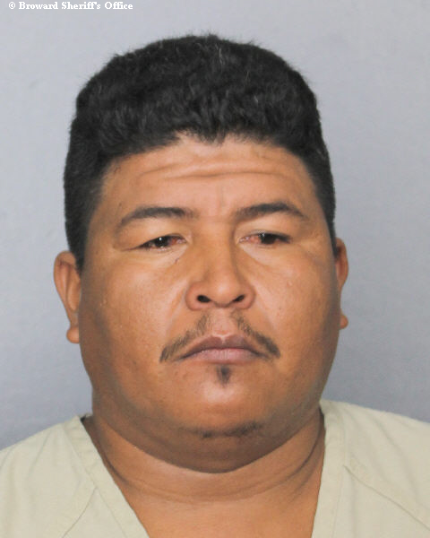  WILFREDO ALEJO DOMINGUEZ fotografia del sheriff oficial del condado de Broward