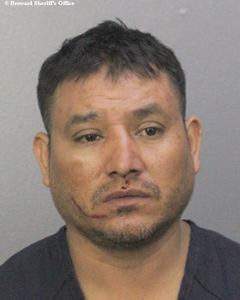  JUAN HERNANDEZ Photos, Records, Info / South Florida People / Broward County Florida Public Records Results