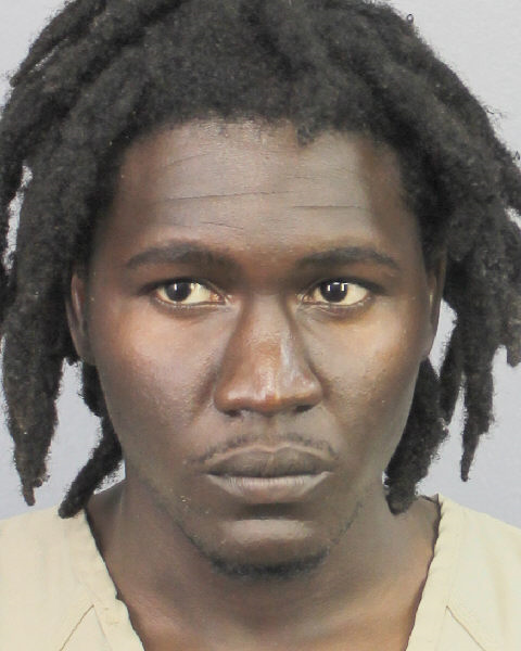  HENRY PHILIPPE LOUBEAU Photos, Records, Info / South Florida People / Broward County Florida Public Records Results