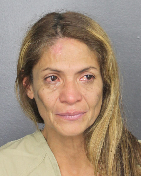  SANDRA PATRICIA MORENO LOAIZA Photos, Records, Info / South Florida People / Broward County Florida Public Records Results