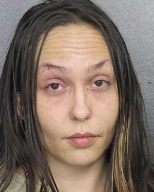 DAWNMARIE LUGO Photos, Records, Info / South Florida People / Broward County Florida Public Records Results