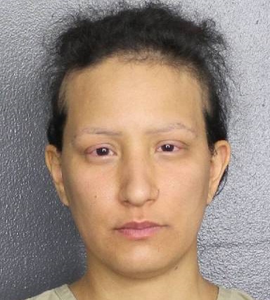 Ivanna Andrea Vidartte-Avendano Photos, Records, Info / South Florida People / Broward County Florida Public Records Results