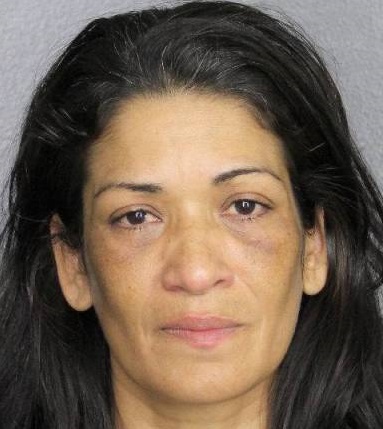 Maria Cecilia Jordan-Brenes fotografia del sheriff oficial del condado de Broward