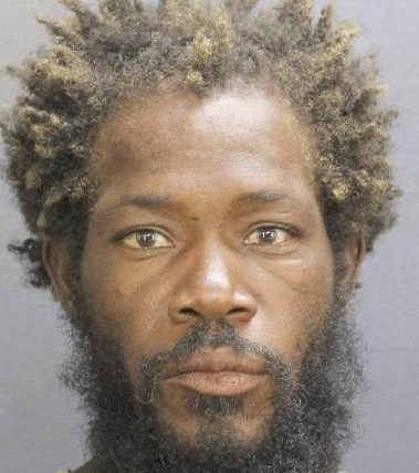 Quintin Marteen Williams Photos, Records, Info / South Florida People / Broward County Florida Public Records Results