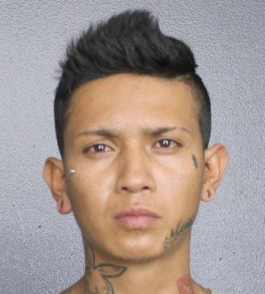 Sebastian Esdras Hernandez Photos, Records, Info / South Florida People / Broward County Florida Public Records Results