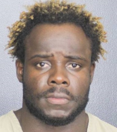 Vladamir Mathieu Photos, Records, Info / South Florida People / Broward County Florida Public Records Results