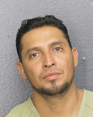 ENECIDIO NAVELY LAGOS VILLATORO Photos, Records, Info / South Florida People / Broward County Florida Public Records Results