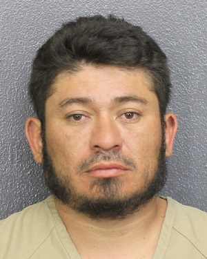NELSON ZELAYA GONZALES Photos, Records, Info / South Florida People / Broward County Florida Public Records Results