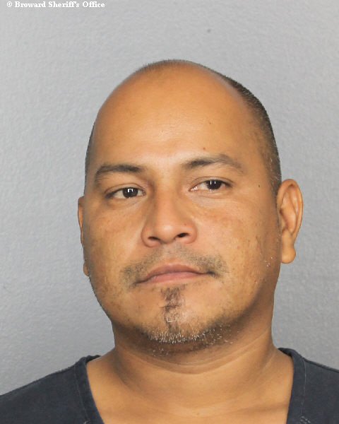  ENRIQUE VANYA EDUAR LO A NJOE Photos, Records, Info / South Florida People / Broward County Florida Public Records Results