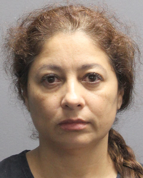  MARITZA TAMARA LAZCANO Photos, Records, Info / South Florida People / Broward County Florida Public Records Results