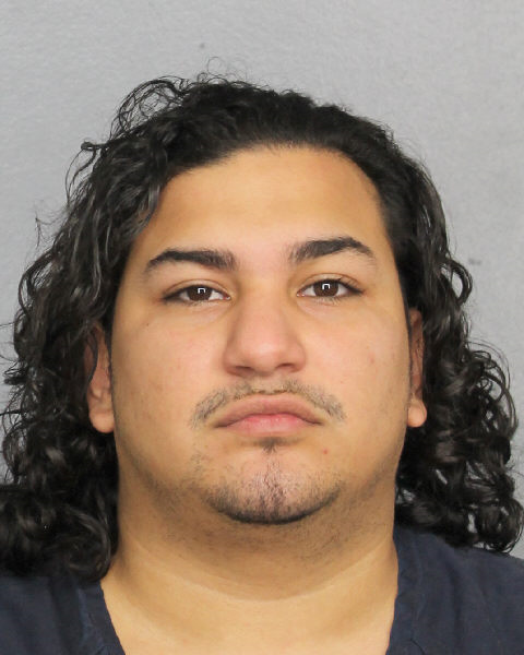  NELSON HENRIGUEZ Photos, Records, Info / South Florida People / Broward County Florida Public Records Results