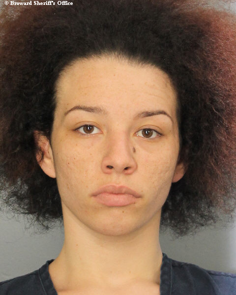  DESTINY DENISE SANTILLI Photos, Records, Info / South Florida People / Broward County Florida Public Records Results