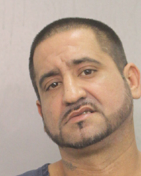  MAURO GAETANO Photos, Records, Info / South Florida People / Broward County Florida Public Records Results