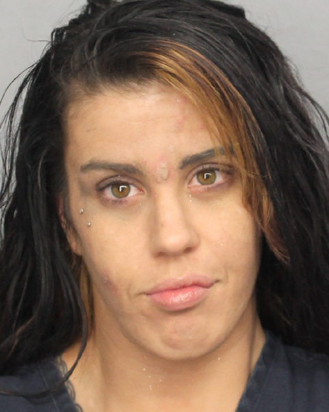  ERICA JEAN EISWERTH Photos, Records, Info / South Florida People / Broward County Florida Public Records Results