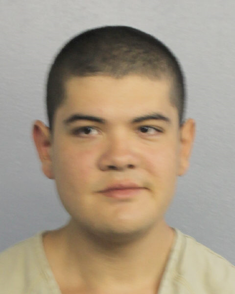  LUIS MEJIA Photos, Records, Info / South Florida People / Broward County Florida Public Records Results