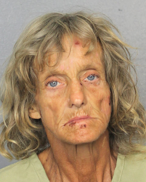  DONNA M MCCARTHY Photos, Records, Info / South Florida People / Broward County Florida Public Records Results
