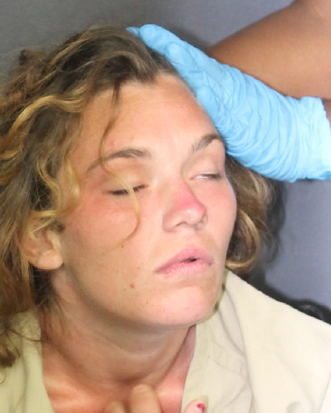  DESTINY SUMMER BARNES fotografia del sheriff oficial del condado de Broward