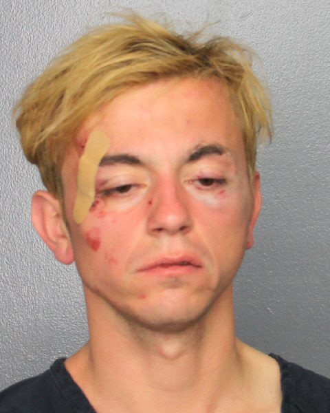  VIOREL REMUS SITARU Photos, Records, Info / South Florida People / Broward County Florida Public Records Results