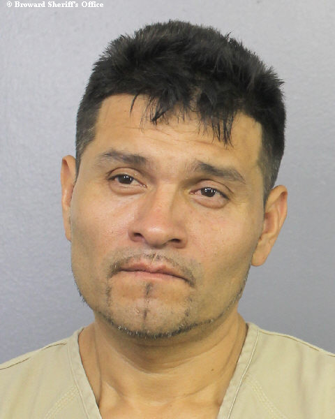  JEAN ARZANI SILVA fotografia del sheriff oficial del condado de Broward