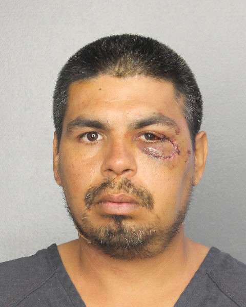 MARLON CHAMORRO Public Records / South Florida Photos / Broward County Florida People + Places MARLON CHAMORRO Photos, Records, Info / South Florida People / Broward County Florida Public Records Results