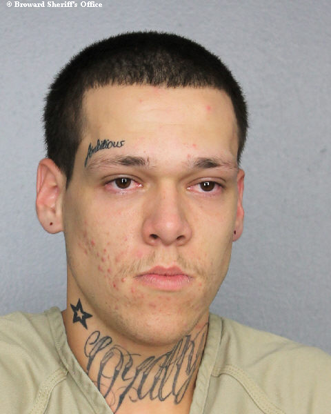 TY CHRISTOPHER PIERCE Public Records / South Florida Photos / Broward County Florida People + Places TY CHRISTOPHER PIERCE Photos, Records, Info / South Florida People / Broward County Florida Public Records Results