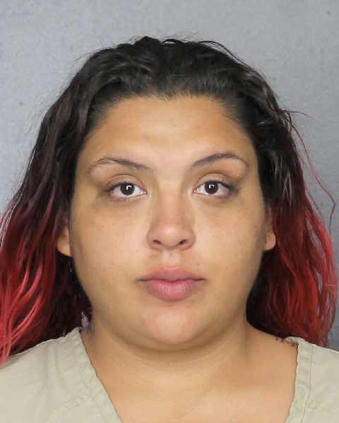  TALENA ROSA CASTILLO Photos, Records, Info / South Florida People / Broward County Florida Public Records Results