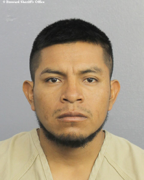  MIGUEL PEREZ SALES Photos, Records, Info / South Florida People / Broward County Florida Public Records Results