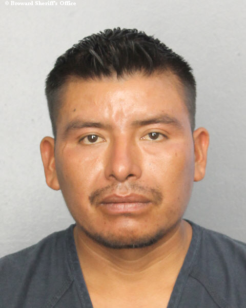  RIGOBERTO DOMINGO PEREZ Photos, Records, Info / South Florida People / Broward County Florida Public Records Results